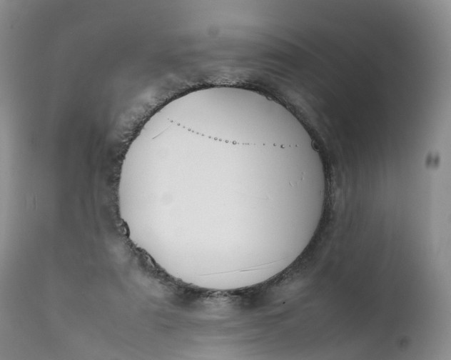 X0000111370307200907241252