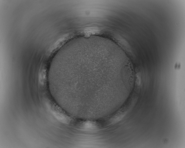 X0000111370308200907241252