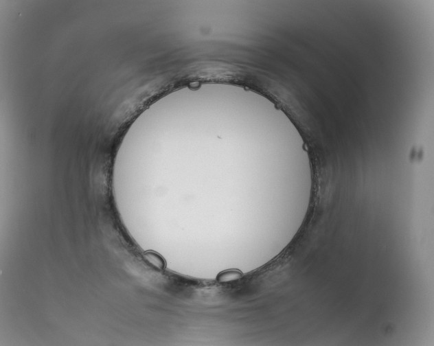 X0000111370309200907241252