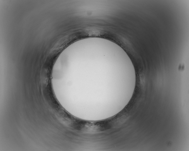 X0000111370311200907241252