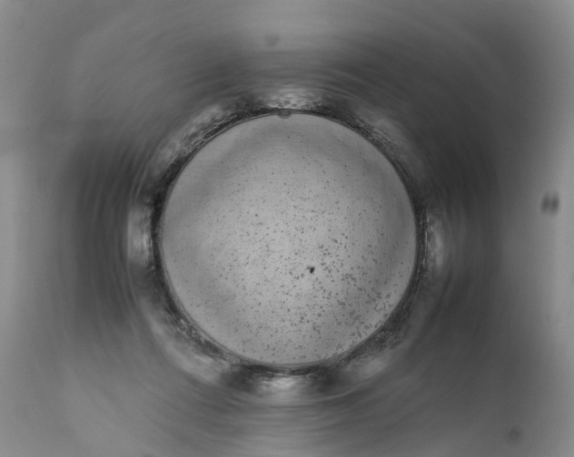 X0000111370312200907241252