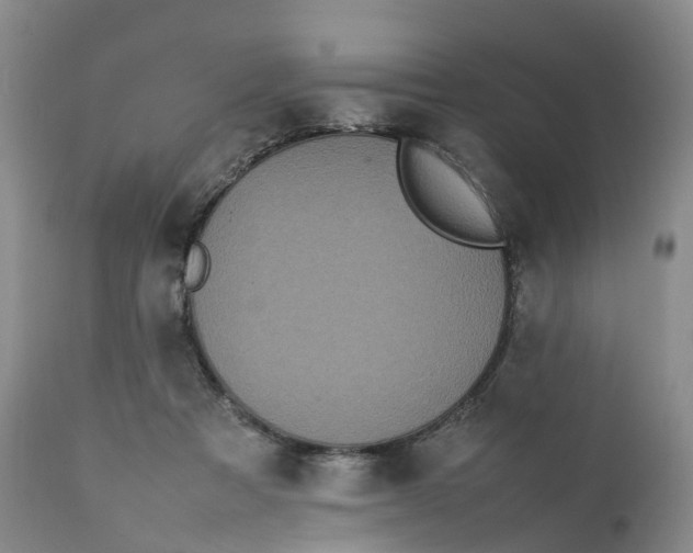 X0000111370313200907241252