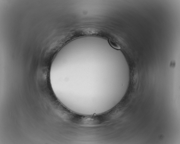 X0000111370315200907241252