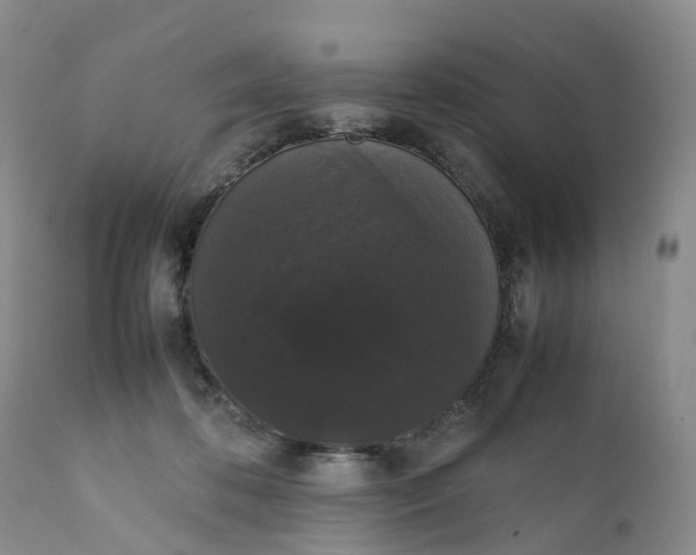 X0000111370316200907241252