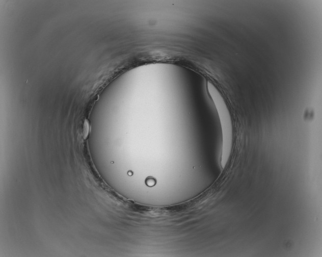 X0000111370317200907241252