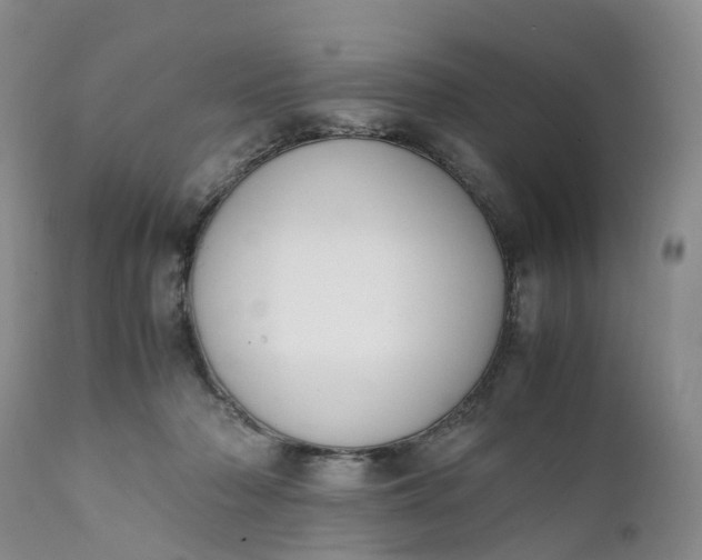 X0000111370318200907241252