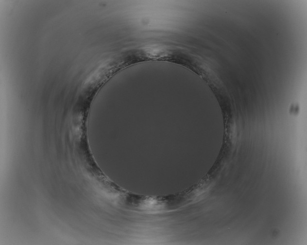 X0000111370319200907241252