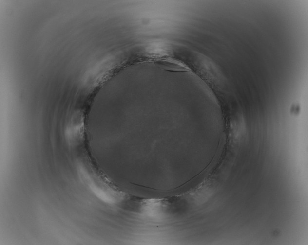 X0000111370320200907241252