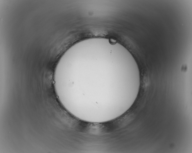 X0000111370321200907241252