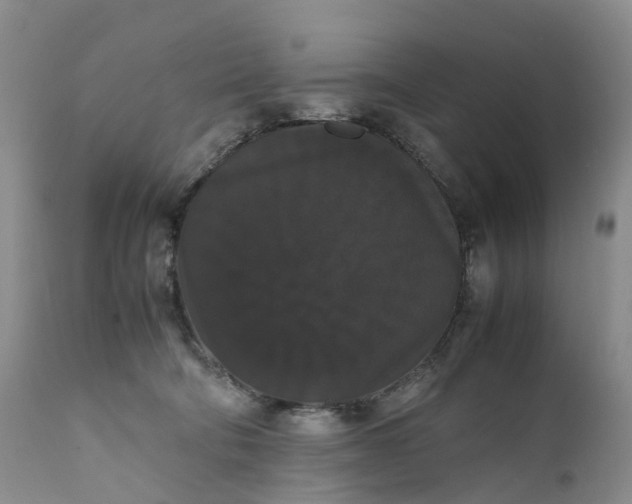 X0000111370322200907241252