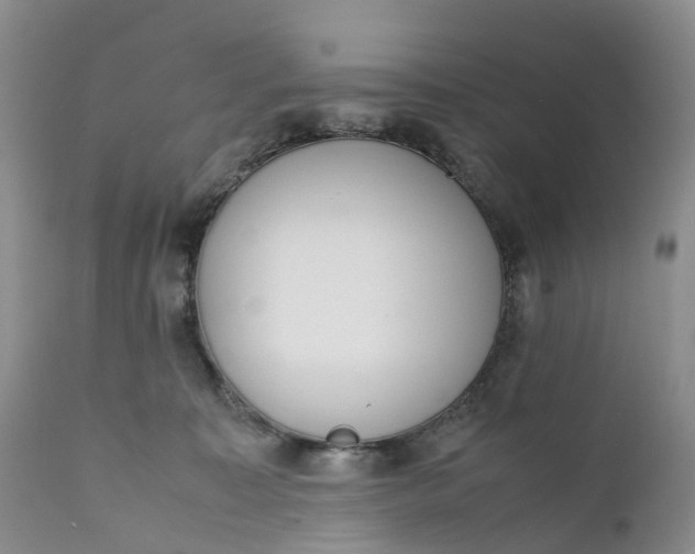 X0000111370323200907241252