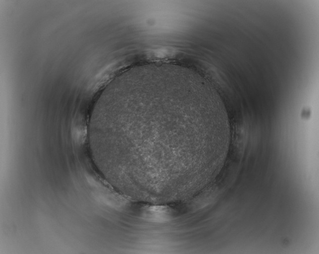 X0000111370324200907241252