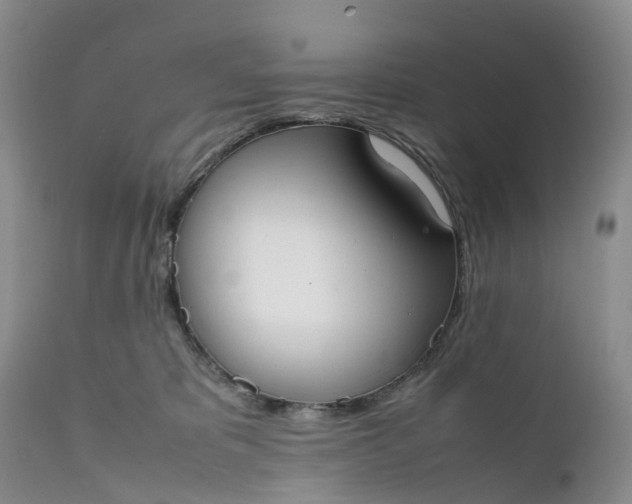 X0000111370325200907241252