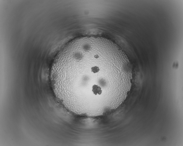 X0000111370326200907241252