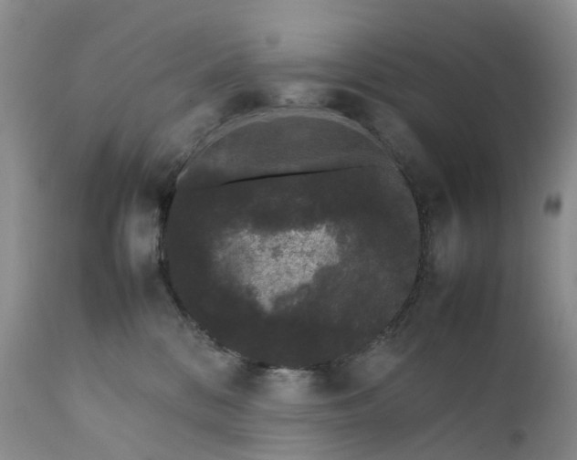 X0000111370328200907241252