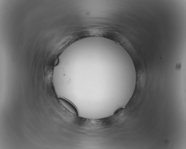 X0000111370329200907241252