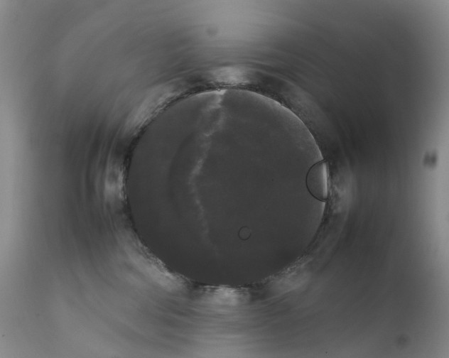 X0000111370330200907241252