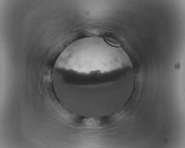 X0000111370331200907241252