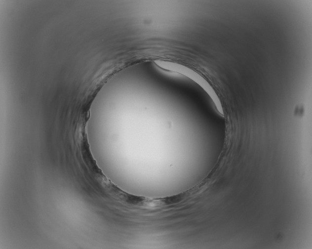 X0000111370333200907241252