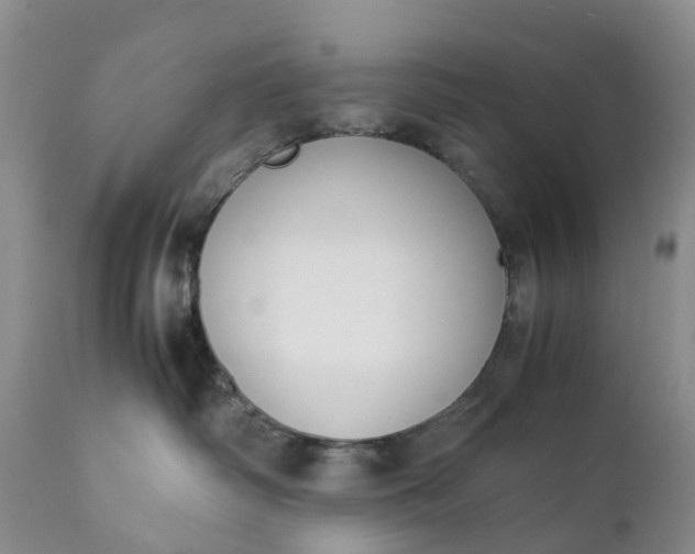 X0000111370334200907241252