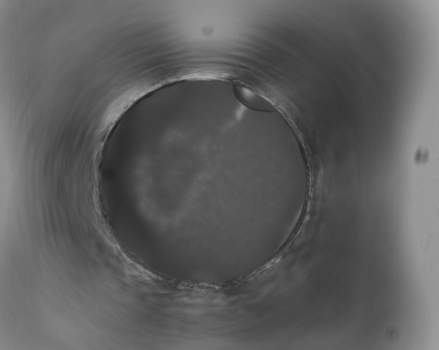 X0000111370337200907241251