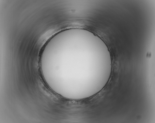 X0000111370338200907241251