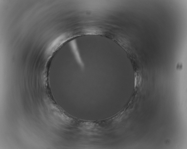 X0000111370339200907241251