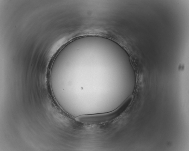 X0000111370340200907241251