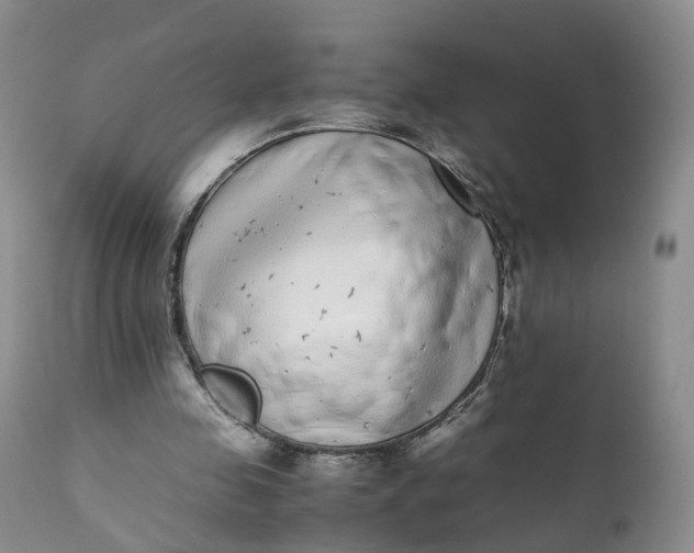 X0000111370341200907241251