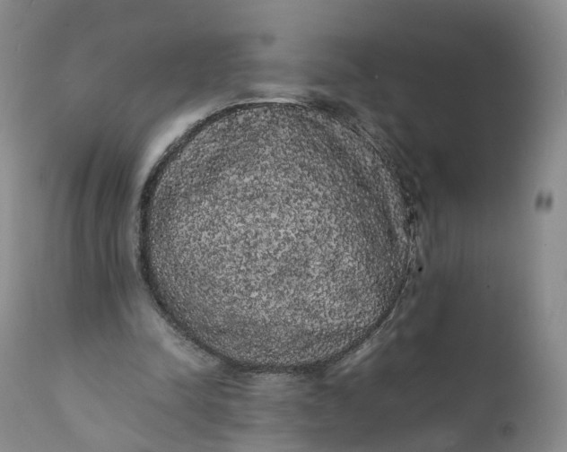 X0000111370342200907241251