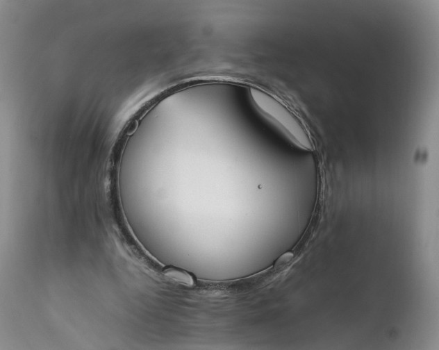 X0000111370344200907241251