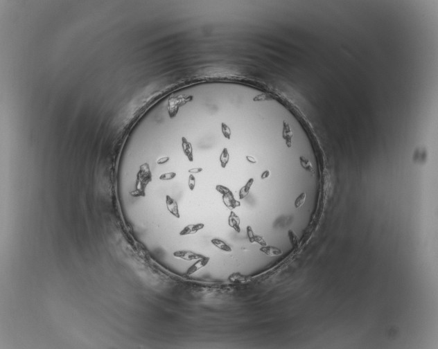 X0000111370345200907241251