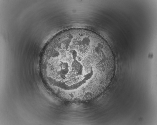 X0000111370346200907241251