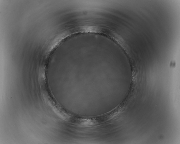 X0000111370347200907241251