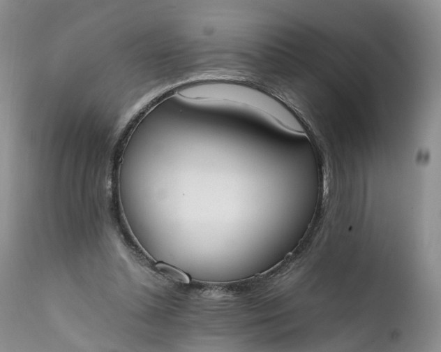 X0000111370348200907241251