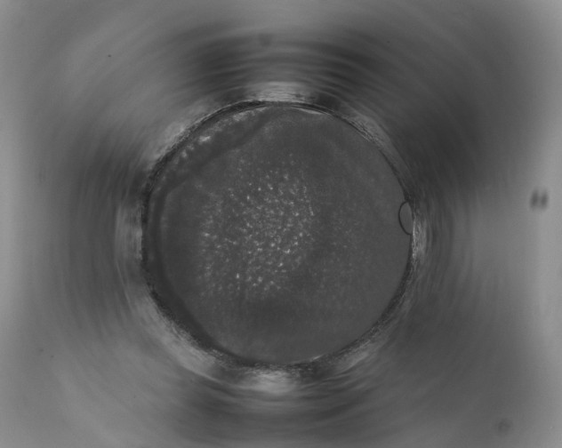 X0000111370349200907241251