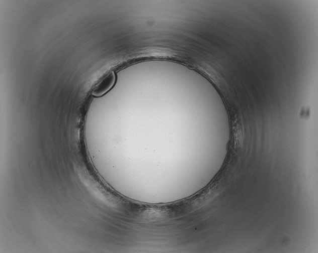 X0000111370350200907241251