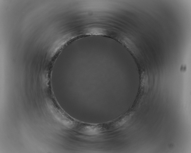 X0000111370351200907241251