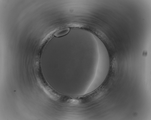 X0000111370352200907241251