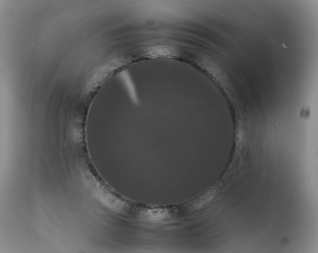 X0000111370353200907241251