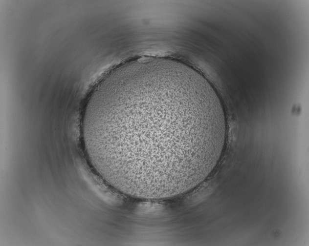 X0000111370354200907241251