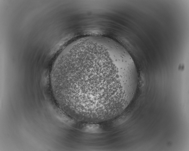 X0000111370355200907241251