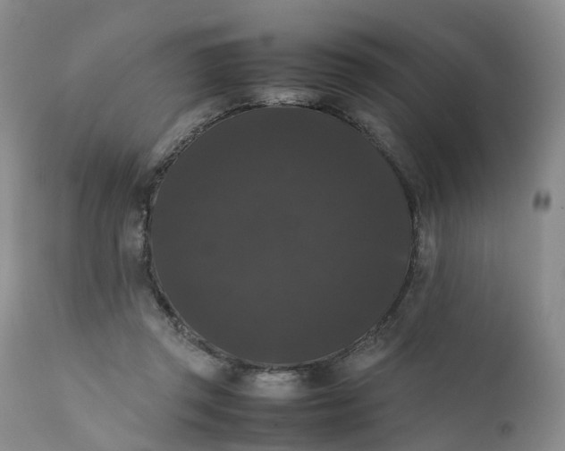 X0000111370357200907241251