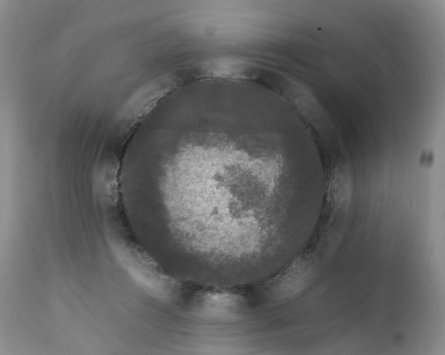 X0000111370360200907241251