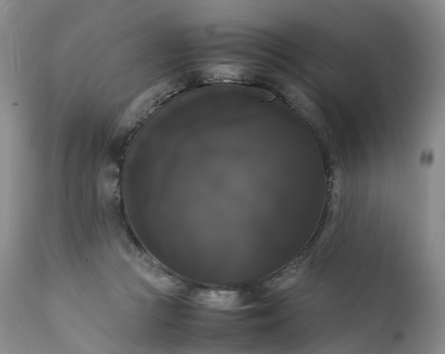 X0000111370361200907241251