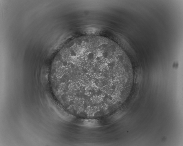 X0000111370363200907241251