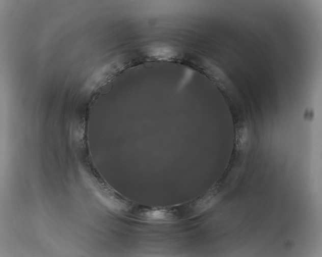 X0000111370365200907241251