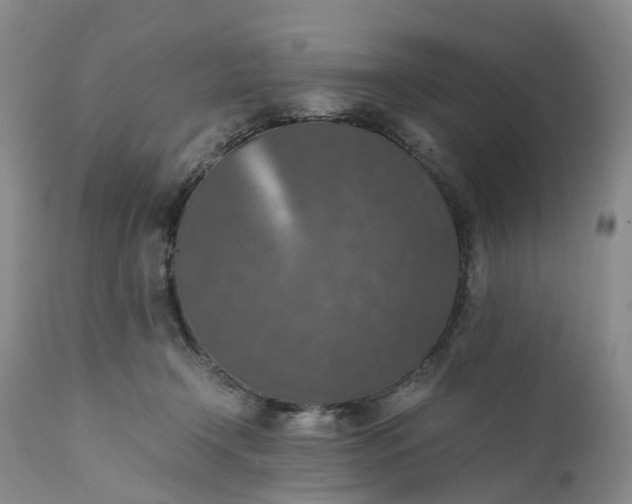 X0000111370366200907241251