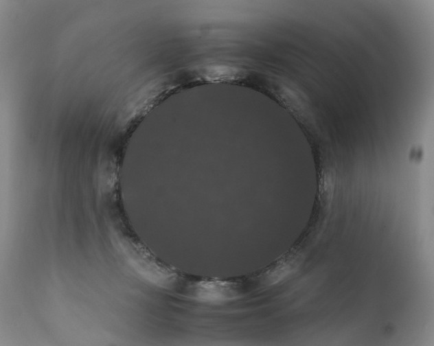 X0000111370367200907241251