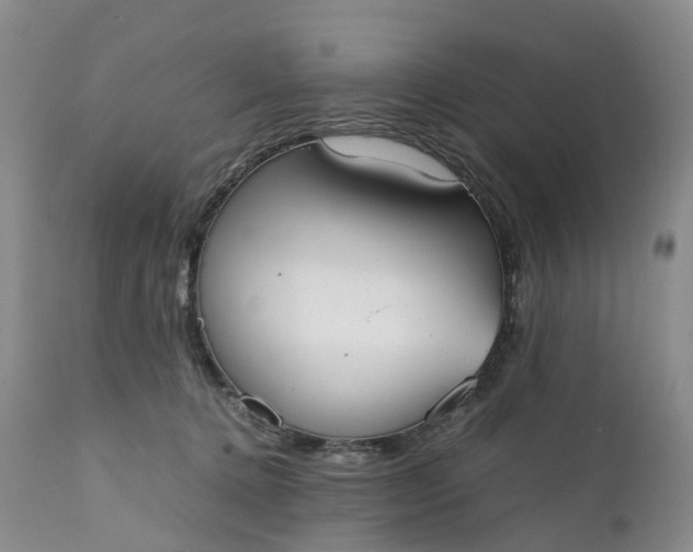 X0000111370368200907241251